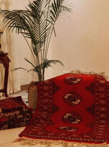 Turkmen tribal red rug with Mari Gol design