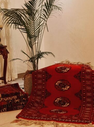 Turkmen tribal red rug with Mari Gol design